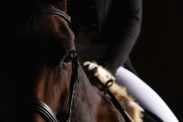 Dressage horse with rider in LowKey technique, close-up of the horse's head in the eye cutout, but...
