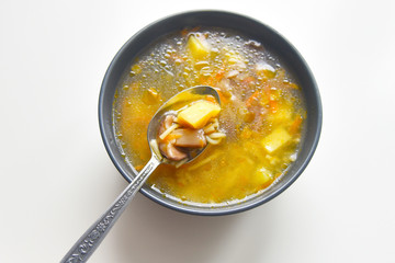 vegetarian vegetable soup with mushrooms