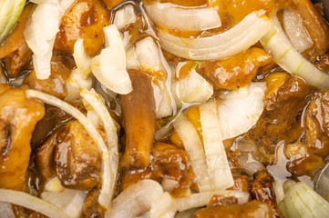 Salted mushrooms with onions. Homemade preparations, rustic treats. Close up.