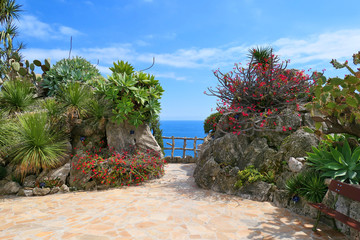 Exotic garden in Monaco with view on Mediterranean Sea.
