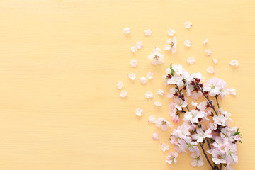 photo of spring white cherry blossom tree on pastel yellow wooden background. View from above, flat lay