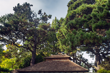 The roof of a traditional japanese house in the woods 