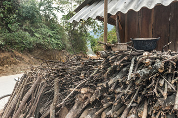 Cutting wood for house fuel in Oudomxay, Laos.