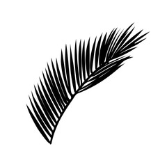 Black silhouette of tropical leave palm, tree. Vector illustration
