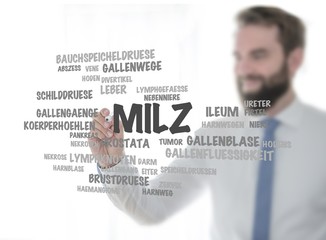 Milz