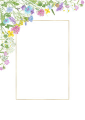 Watercolor hand drawn floral summer composition with copy space and wild meadow flowers (clover, cornflower, tansy, cow vetch, chamomile) and gold frame with copy space isolated on white background