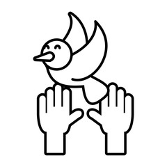 hands holding a dove on white background