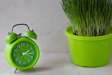 Bright green alarm clock and fresh grass in a bright green flower-pot on a light background.