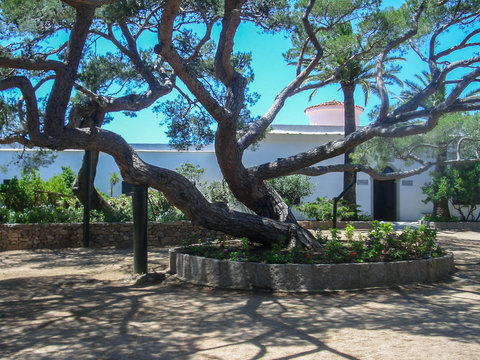 garibaldi's house on the island of caprera in sardinia with its interiors the luxuriant vegetation the sea and the tomb where it is buried