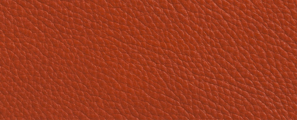 Fototapeta premium luxury tan leather skin texture background