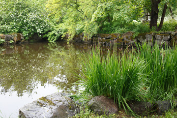 Small pond in the park on a summer day.