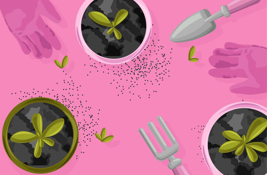 Samenleiter Bilder Durchsuchen 2,014 Archivfotos, und