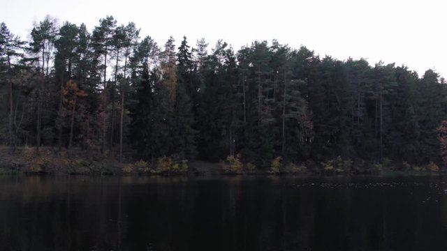 Duck floating on the lake in autumn time, Belarus. Fall season with leaves