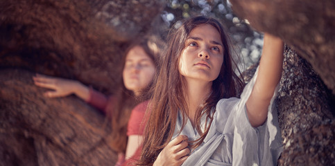 Two girls in beautiful dresses on a background of an old olive tree