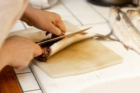 Woman Cuts Fresh Mullet On A Cutting Board.