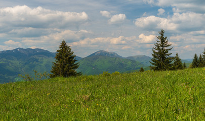 Krivanska Mala Fatra from Magura hill in Velka Fatra mountains in Slovakia