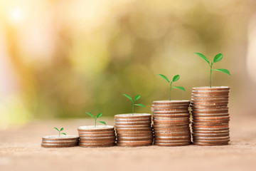 Save Money concept for Financial, Investment and Business with money coin stack for growing with...