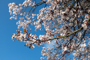 Spring is in the air at Woluwe Park