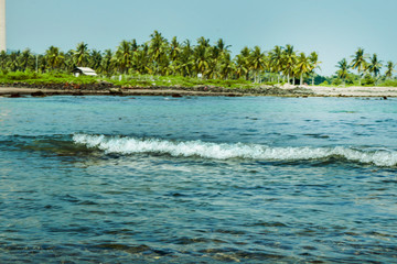 tropical island in the sea