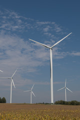 Wind Turbines Against Blue Sky in Rural Area