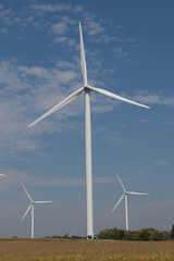 Fototapeta premium Wind Turbines Against Blue Sky in Rural Area