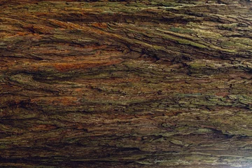 Fotobehang Brandhout Redwood tree bark texture  © Amy Buxton