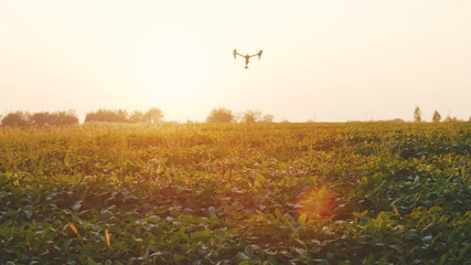 Sunny day smart agriculture drone flying in sky rural aerial helicopter agros copter farm farming field industry landscape meadow nature plant professional vehicle harvest innovation slow motion