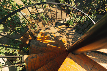 Wooden spiral staircase with grape vine growing.