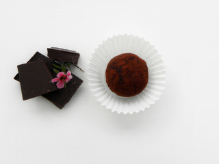 chocolate truffles and pieces of dark chocolate on a white background. Homemade sweets
