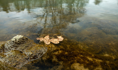 wasser, natur, see, fluss, piter, fels, landschaft, meer, fels, herbst, ozean, baum, wald, bach, stein, teich, himmel, green, beach, anreisen, fall, clear, durchfluss, schönheit