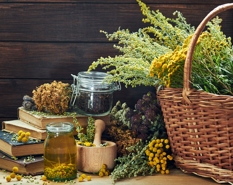 Variety of wild herbs: absinth plant, tansy, dried St. John's wort, cllover and mifoil, assorted on the wooden rustic background and wicker with fresh plants,closeup, copy space