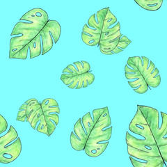 Watercolor hand drawn seamless pattern with monstera leaves