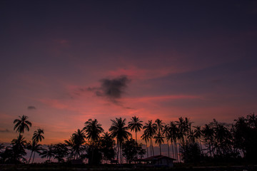 Wallpaper blurred nature of the twilight light in the evening by the large water basin surrounded by big trees, the integrity of the forest