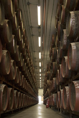 bodega de vino grande 