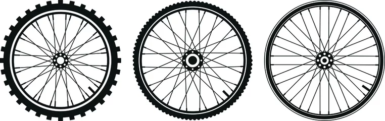 Fotobehang tre tipi di ruota di bicicletta in vettoriale © roberto