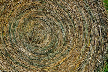 Closeup of a circular bale of alfalfa hay