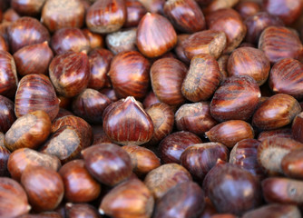Edible chestnuts texture as very nice food background