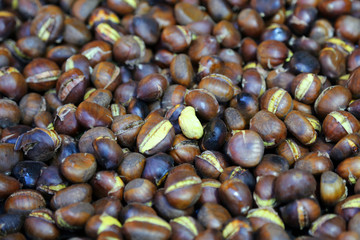 Edible chestnuts texture as very nice food background