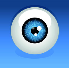 Globo ocular. Ilustraci&oacute;n vectorial