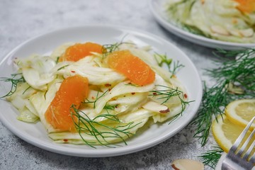 Homemade fresh Fennel Orange Salad, selective focus with copy space