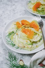 Homemade fresh Fennel Orange Salad, selective focus with copy space