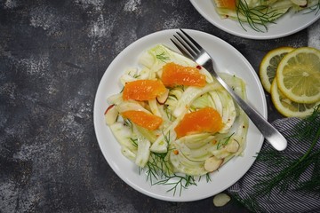 Homemade fresh Fennel Orange Salad, selective focus with copy space