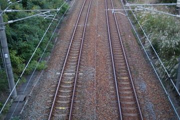 Fototapeta na wymiar Country forest and railroad tracks