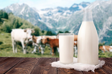 Milk bottle and glass of milk at wooden table top on background of mountain pasture and cows herd....