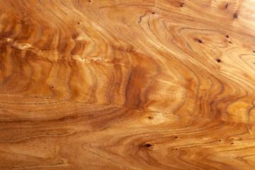 background of beech wood texture