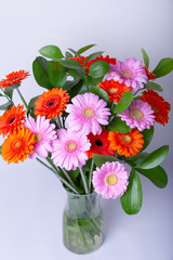 Bouquet of gerberas. Pink, orange and red gerbera in a vase. Congratulation, feast, present.