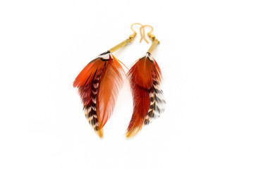 Beautiful wild pheasant feather earrings isolated on white background.