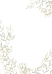 Watercolor christmas wild plants frame. Winter floral white color botanical garden for wedding invintation, logo, banner. © Anna