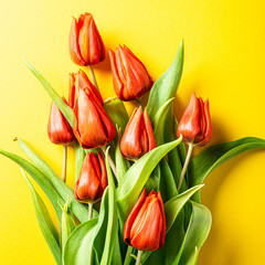 Yellow background with orange tulips, Easter. Birthday, mother day greeting card concept with copy space. Top view, flat lay.