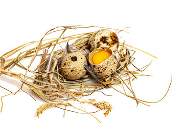 Quail eggs in a nest of hay on a white background. Isolate.